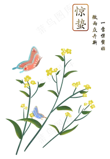 惊蛰春天二十四节气油菜花与蝴蝶,免抠元素