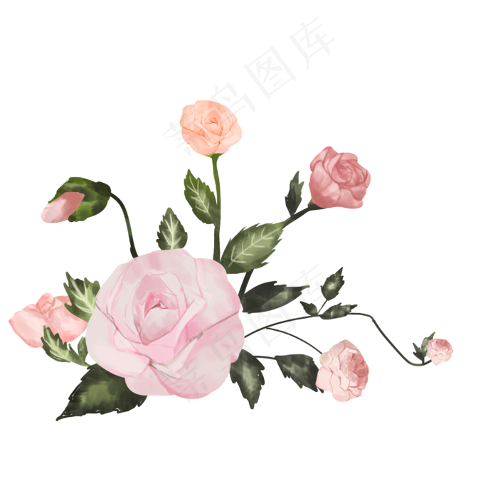 淡粉色玫瑰花(3000X3000)