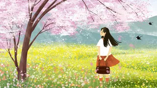 春天樱花花海油菜菜花小清新治愈系