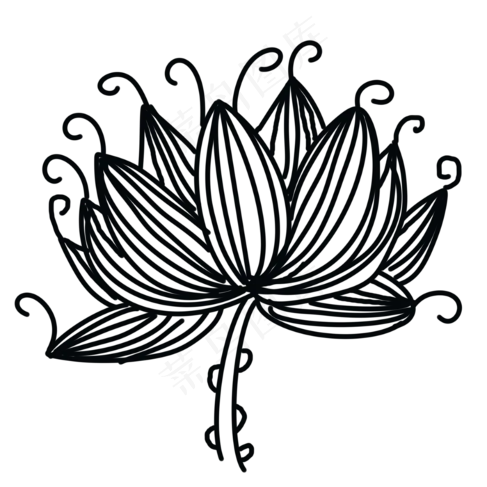 黑白线描荷花纹身(2000X2000(DPI:300))psd模版下载