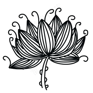 黑白线描荷花纹身