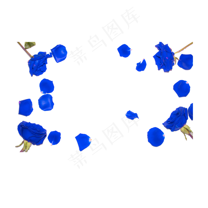 蓝色妖姬花瓣实物拍摄免抠