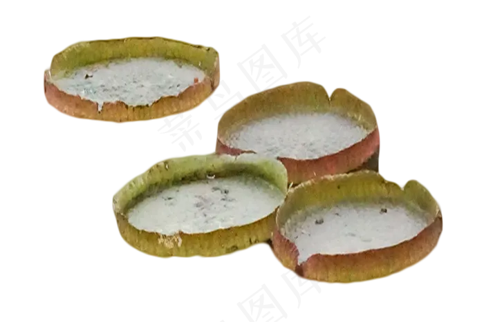 水生花卉四盒睡莲(2000X1333(DPI:350))psd模版下载