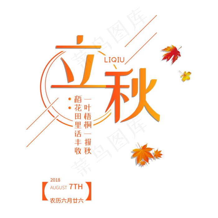 立秋二十四节气传统秋天落叶菜鸟图库原创