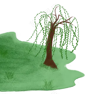 草地柳树