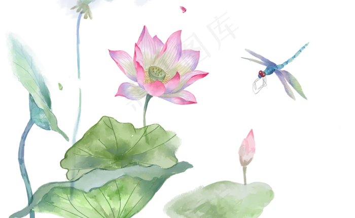 荷花荷叶(2000X1232(DPI:300))psd模版下载