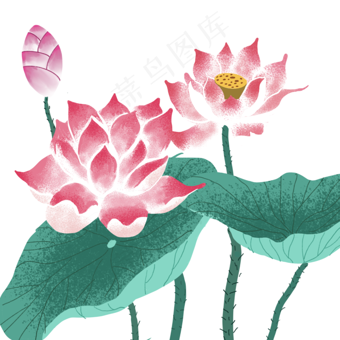 夏季古风平面设计荷花,免抠元素