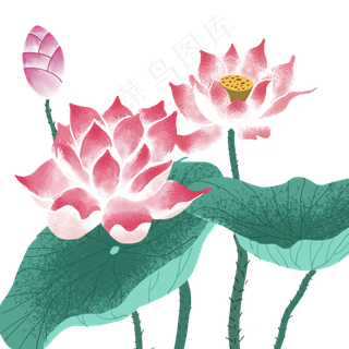 夏季古风平面设计荷花,免抠元素