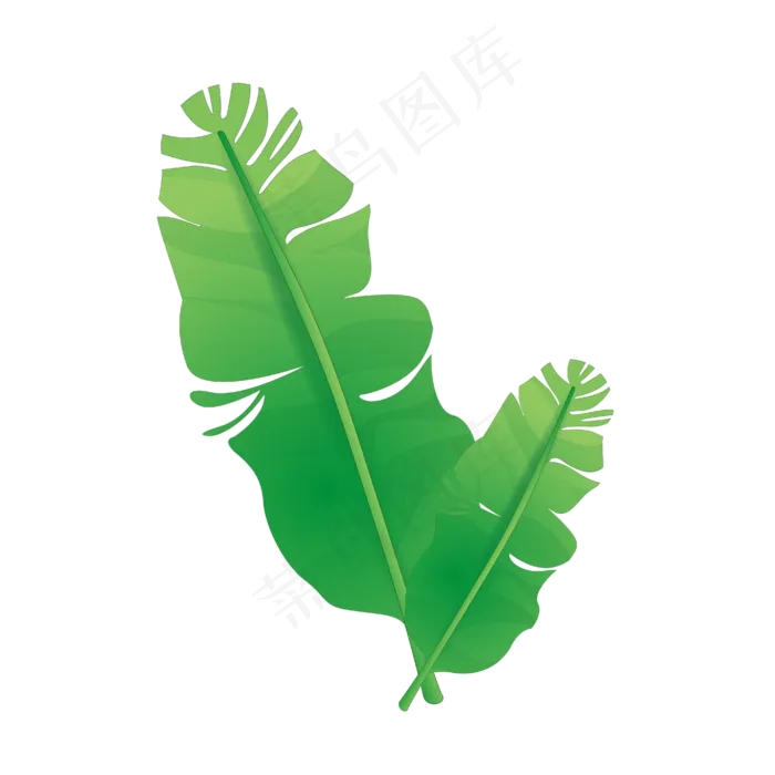 俩片漂浮的树叶插图(4167*4167px 300 dpi )ai矢量模版下载