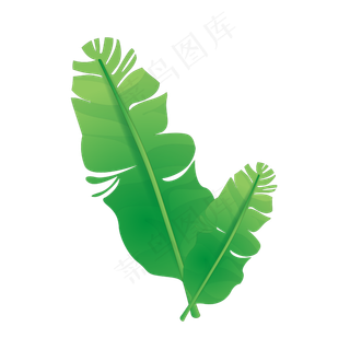 俩片漂浮的树叶插图