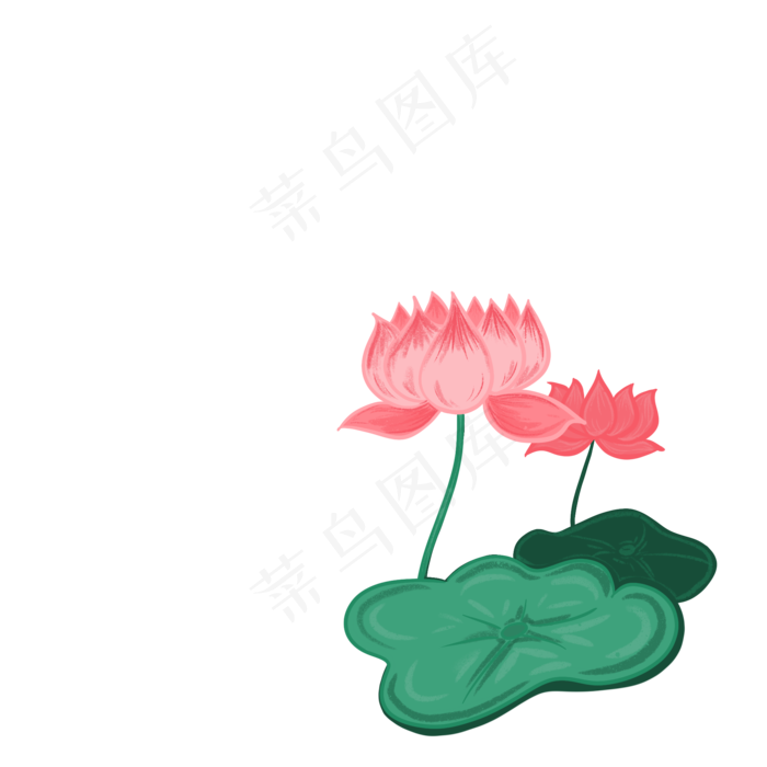 荷花夏日(2000X2000(DPI:300))psd模版下载
