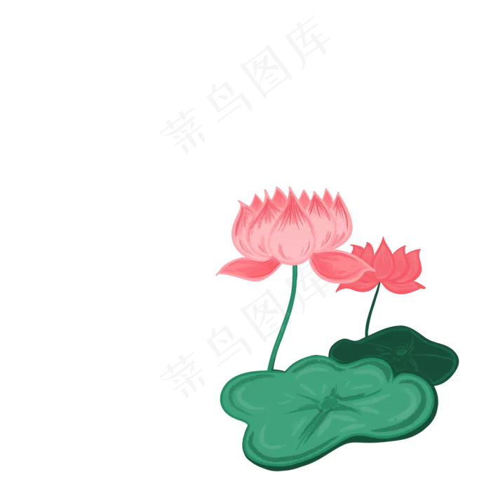 荷花夏日(2000X2000(DPI:300))psd模版下载