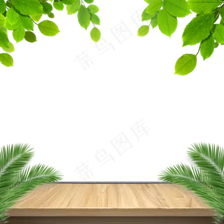 植物地板边框,免抠元素