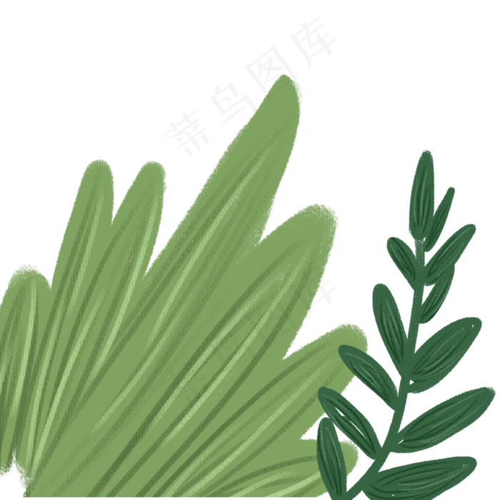 叶子春季自然植物