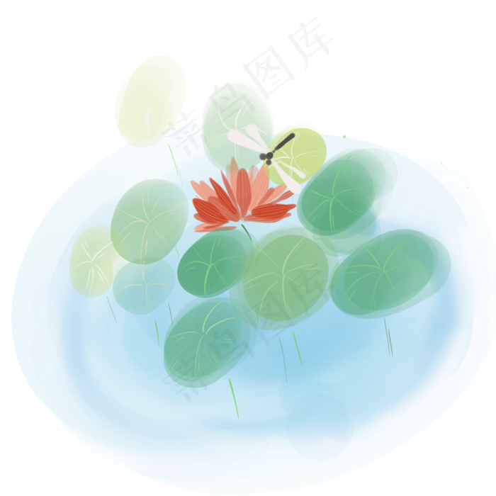 夏季荷花和蜻蜓