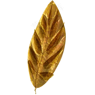 金色金叶子