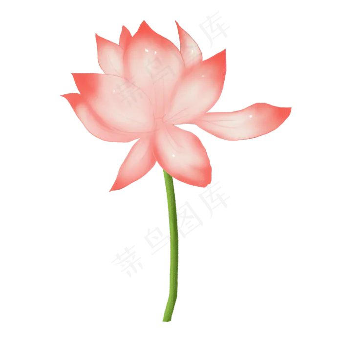 手绘荷花png素材(2000X2000(DPI:72))psd模版下载