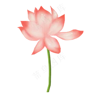 手绘荷花png素材