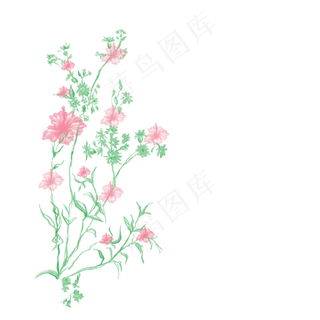 花朵花卉夏日花纹花朵