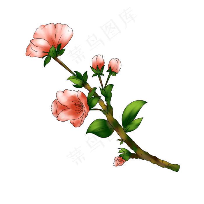 桃花粉色春天手绘装饰图案,免抠元素(3000X3000(DPI:299))psd模版下载