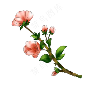 桃花粉色春天手绘装饰图案,免抠元素