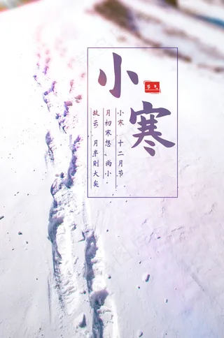 简约中国传统节气二十四节气大寒