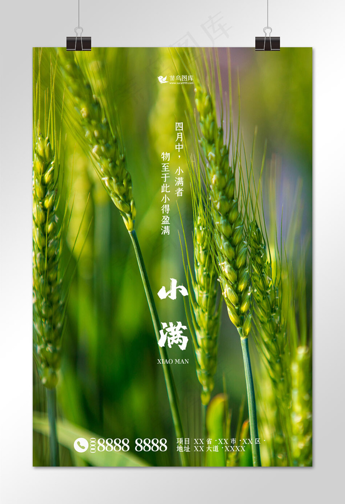 二十四节气小满小麦绿色简约海报