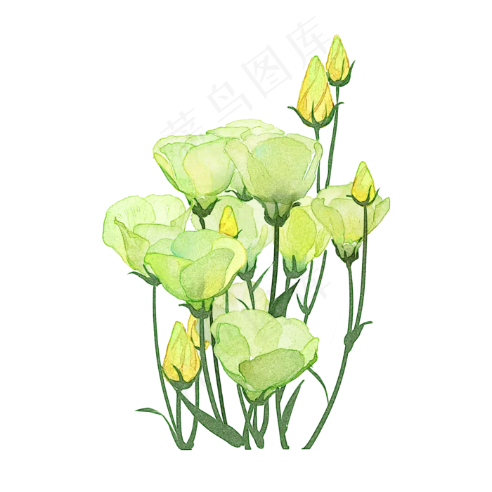 春日清新绿色水彩手绘花束免费下(2236X2236(DPI:300))psd模版下载