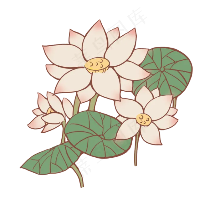 手绘荷花荷叶粉色的花(2000X2000(DPI:300))psd模版下载