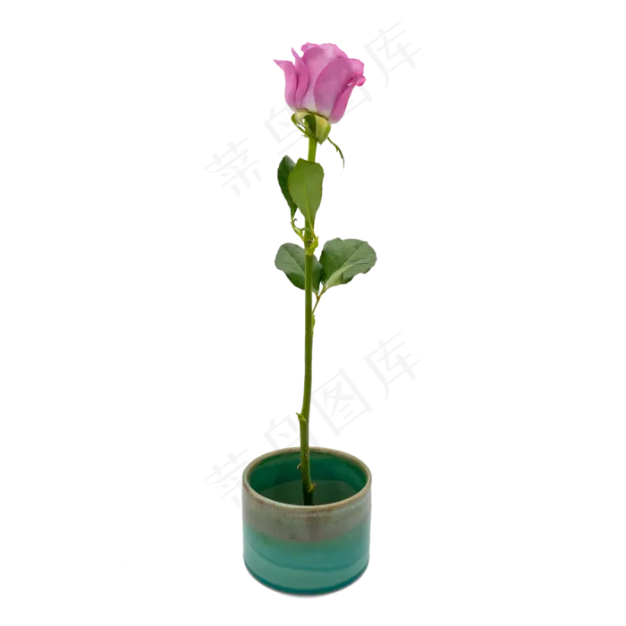 紫色玫瑰绿色瓷器(3402X4000(DPI:72))