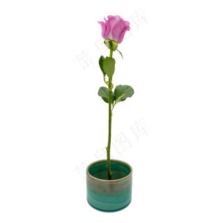 紫色玫瑰绿色瓷器 紫色玫瑰绿色瓷器