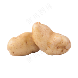 土豆（png免抠）