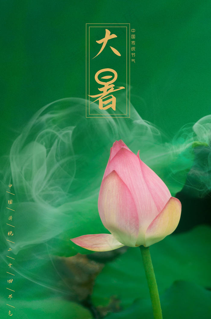 大气荷花背景海报