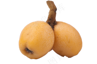 好吃新鲜的枇杷果