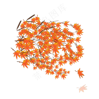 卡通枫树叶子免抠图