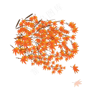 卡通枫树叶子免抠图