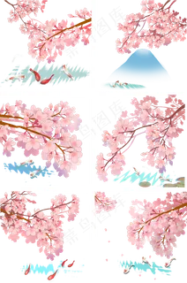 日本樱花节春季樱花观赏锦鲤唯美