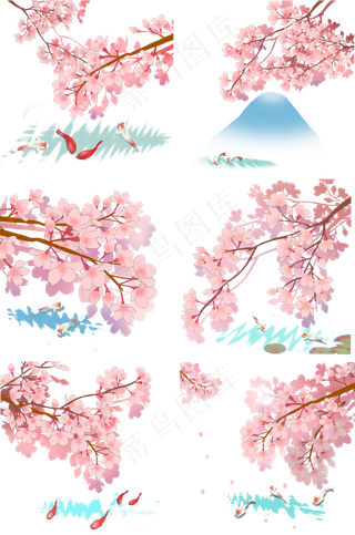 日本樱花节春季樱花观赏锦鲤唯美