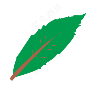 手绘美丽植物绿草