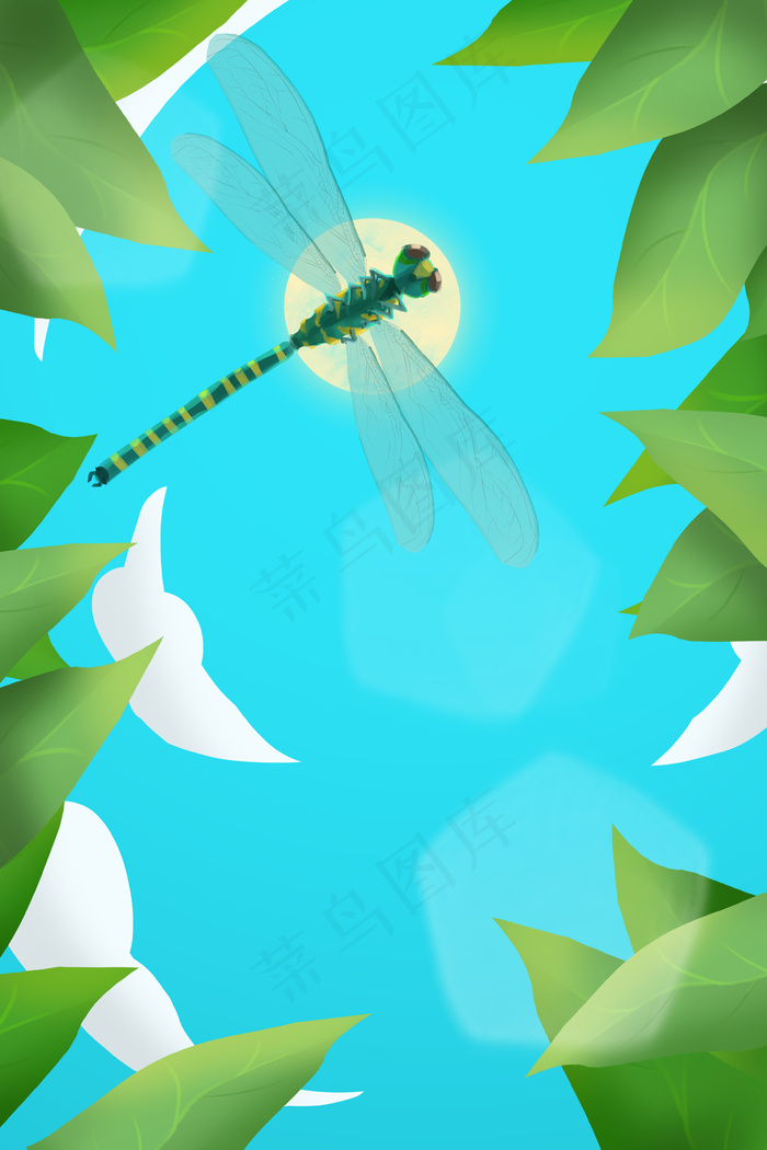 夏至蜻蜓植物天空
