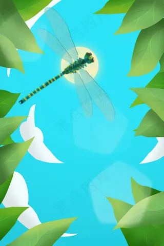 夏至蜻蜓植物天空