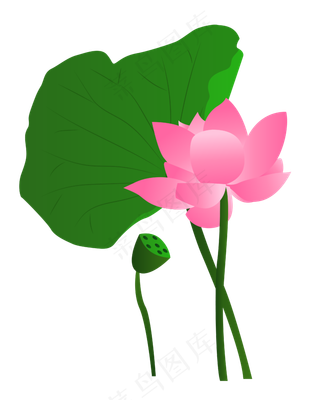 矢量卡通粉色莲花