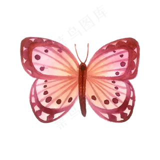 蝴蝶桃色水红PNG翅膀昆虫彩蝶,免抠元素