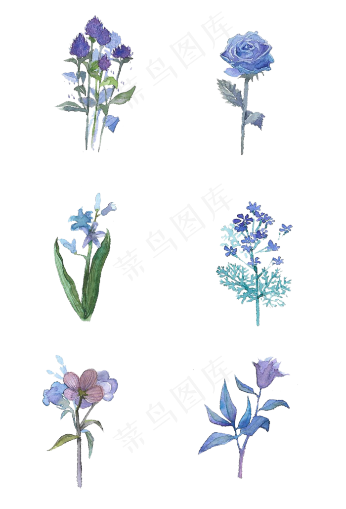 手绘水彩蓝紫色系花朵手捧花免扣