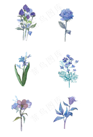 手绘水彩蓝紫色系花朵手捧花免扣