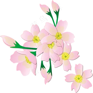 手绘花之浪漫粉色樱花可商用元素,免抠元素