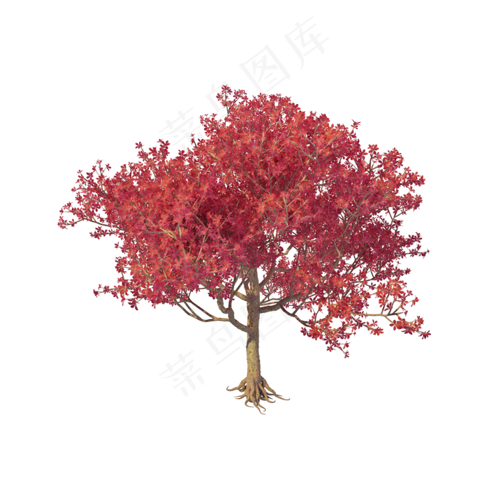 仿真大树png图,免抠元素