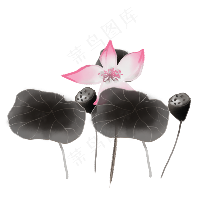 彩色荷花png素材