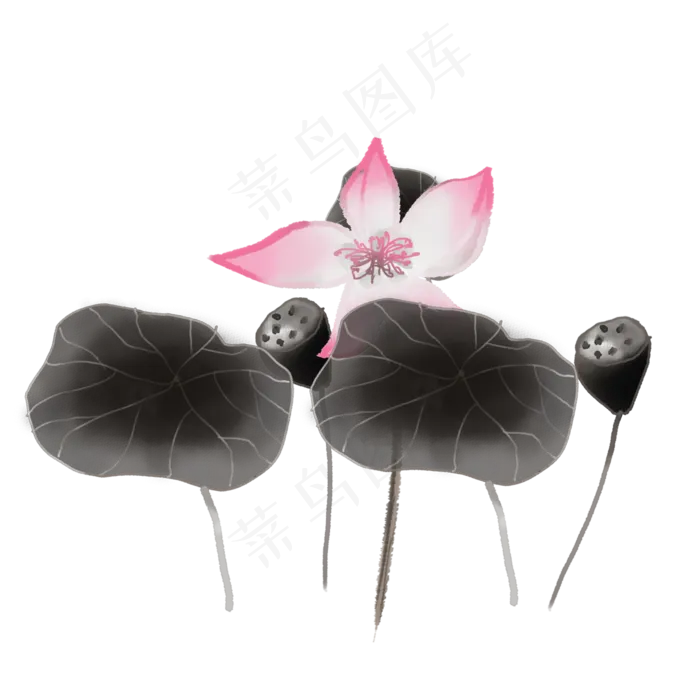 彩色荷花png素材(2000X2000(DPI:300))psd模版下载