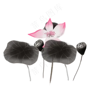 彩色荷花png素材